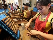 Qui trình sản xuất Xì gà ở Cuba